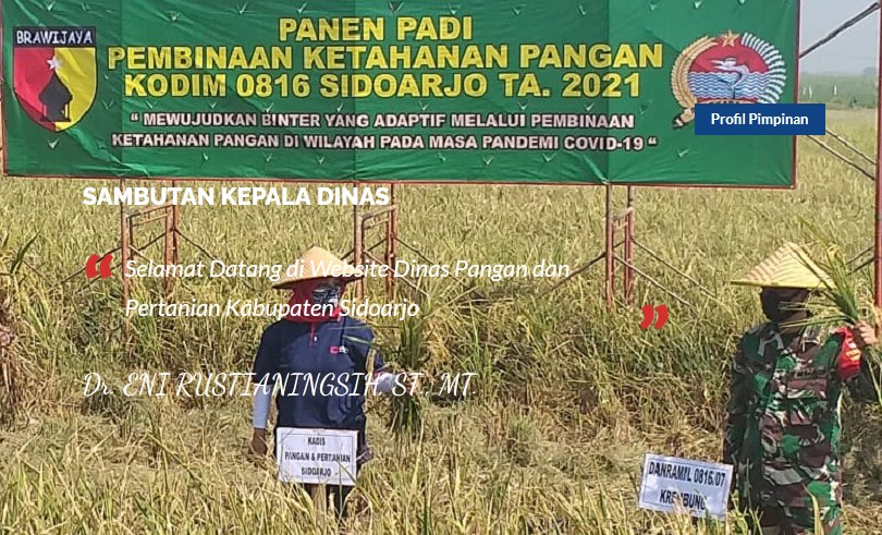 Rekrutmen Dinas Pangan dan Pertanian Kabupaten Sidoarjo