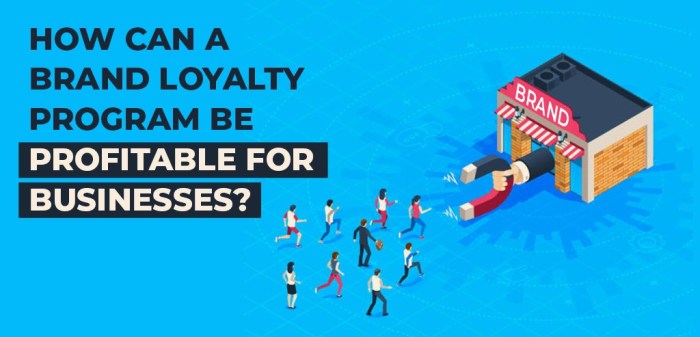 Developing Brand Loyalty Programs