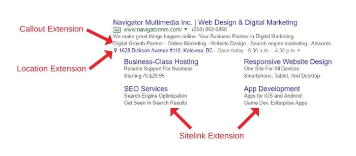 Using Google Ads Extensions