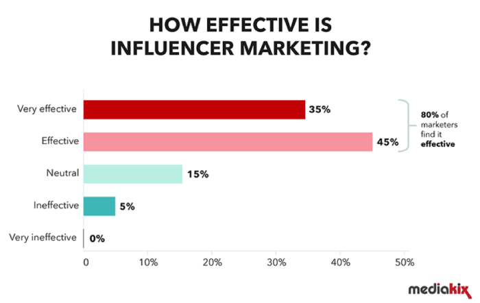 Influencer Marketing Metrics