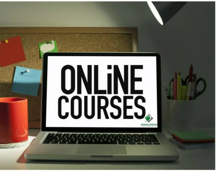 Online Course Creation