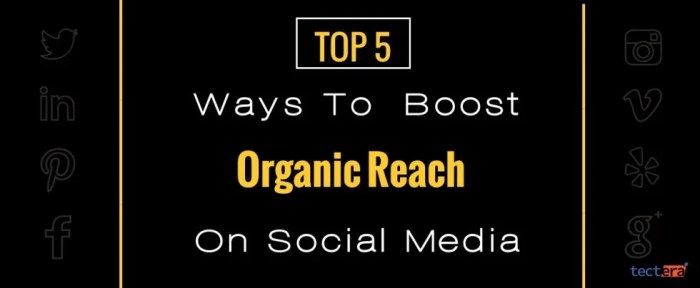 Increasing Organic Reach on Social Media