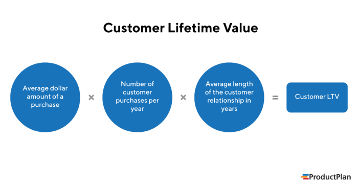 Understanding Lifetime Customer Value