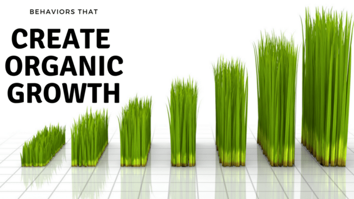 Understanding Organic Growth