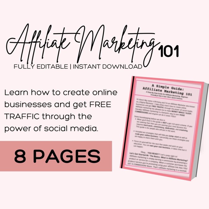 Affiliate Marketing Guide