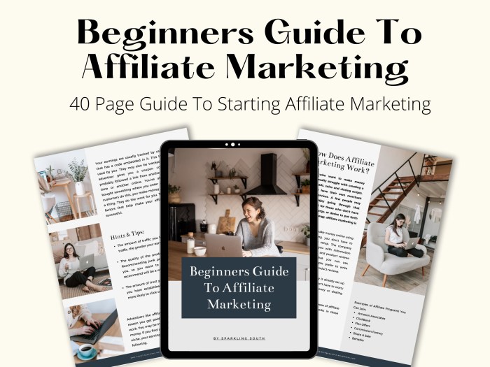 Affiliate Marketing Guide