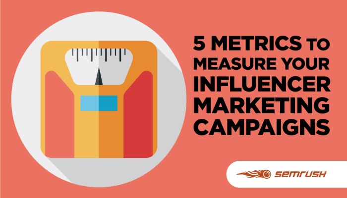 Influencer Marketing Metrics