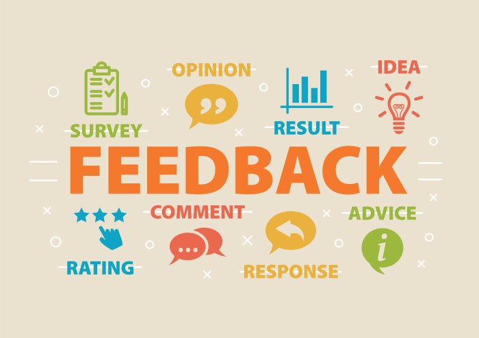 Using Social Media for Customer Feedback