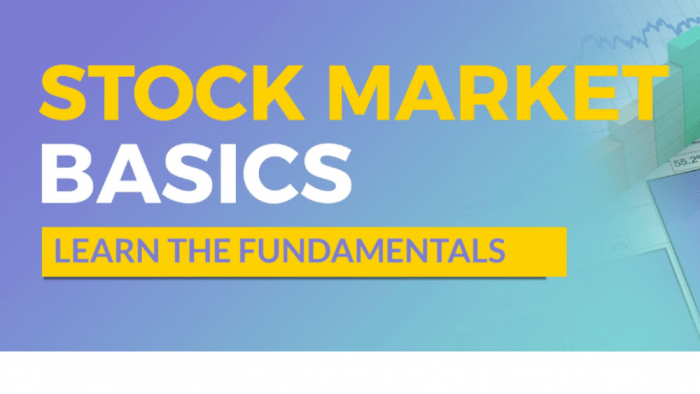 Stock Market Basics